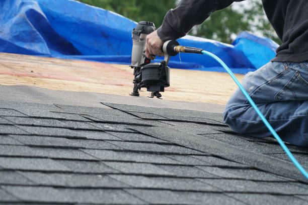 Best Roof Gutter Cleaning  in Hillside Lake, NY